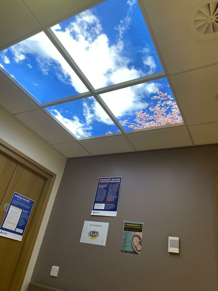 Ingenious things: hospital room ceiling panel depicting a bright blue sky with cherry blossom trees.
