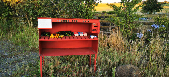 Self-service produce stand with eggs and vegetables, an ingenious thing in various parts of the world.