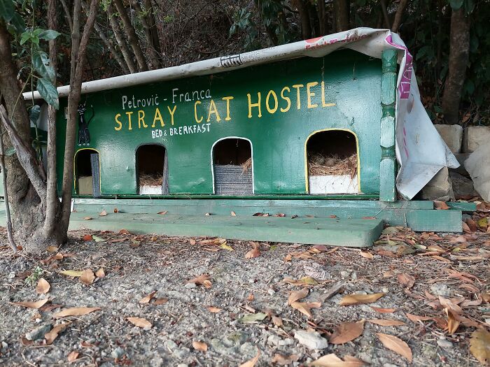 A wooden stray cat hostel with multiple entrances, an ingenious thing built outdoors.