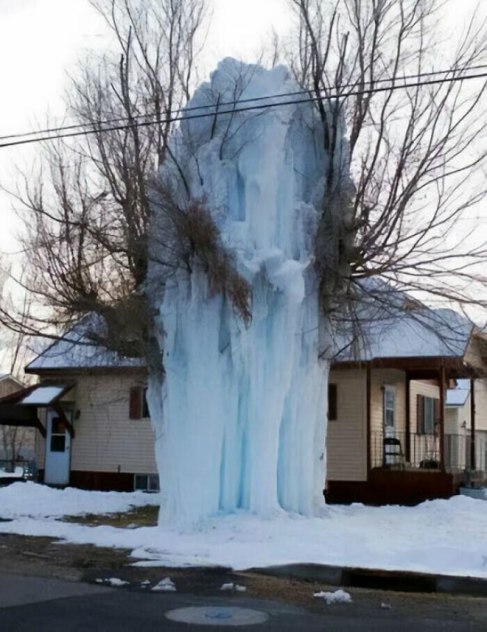 A weird photo of a tree completely covered in a thick column of frozen blue ice in a front yard.