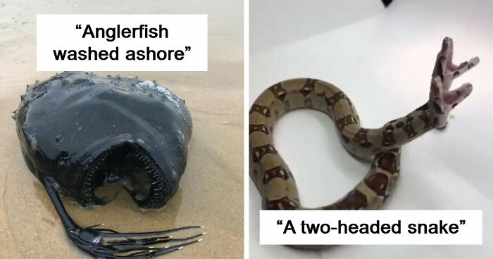 65 Really Weird And Slightly Creepy Photos That Might Give You The Heebie-Jeebies