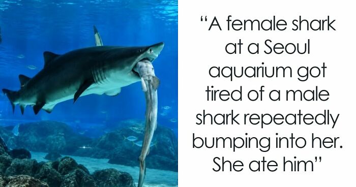 63 Wholesome Facts For Anyone Who Could Use A Break From Bad News