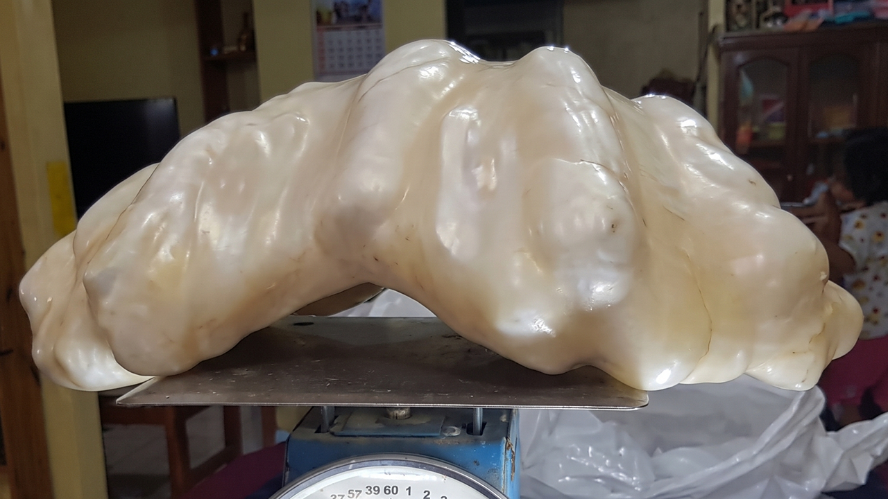 69 Fascinating Photos And Facts That Reveal Just How Strange The World Can Be