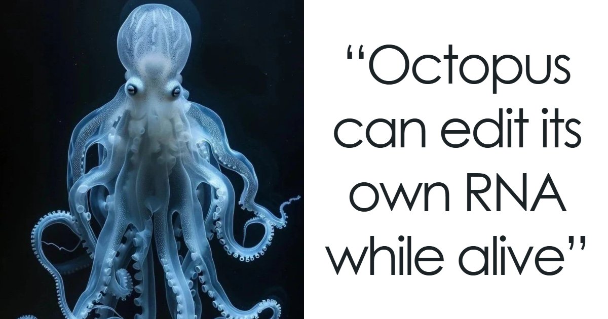 69 Fascinating Photos And Facts That Reveal Just How Strange The World Can Be