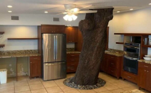 77 Interior Design Choices That Made People Wonder What The Homeowner Was Thinking
