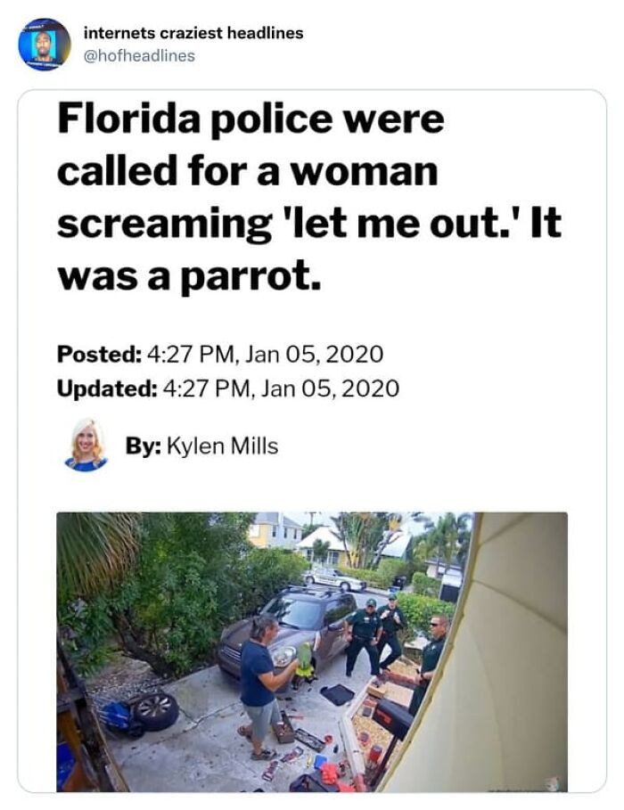 A news headline about Florida police being called for a screaming parrot, representing unhinged news headlines.