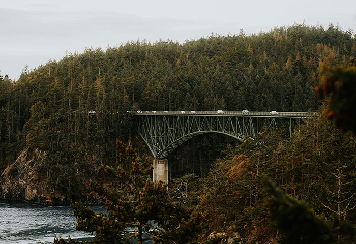A tall bridge spans a green forest valley in a worst-case scenario travel situation.