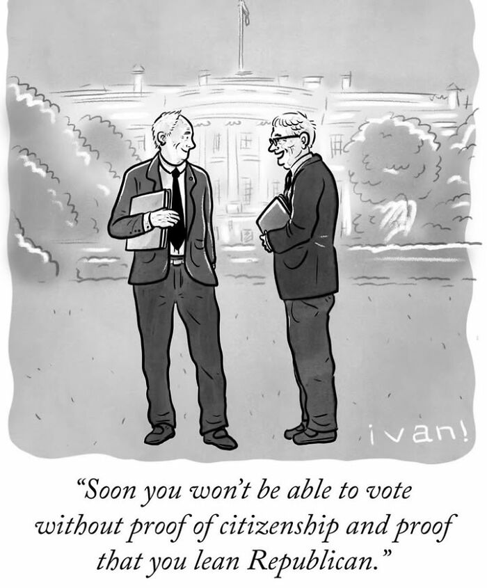 Political cartoon depicting two men outside White House discussing voter ID and political leaning
