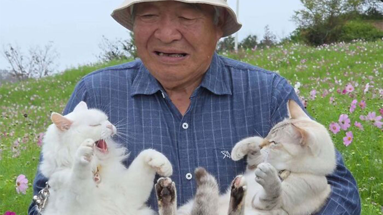 20 Hilarious Photos Of A Japanese Grandpa And His Cats Who Just Can’t Get Along For The Camera