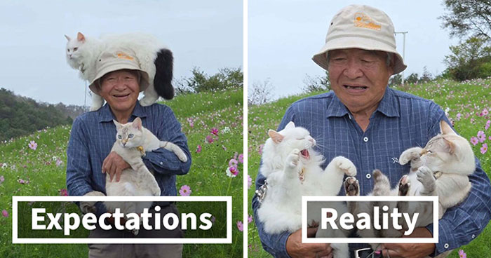 20 Hilarious Photos Of A Japanese Grandpa And His Cats Who Just Can’t Get Along For The Camera