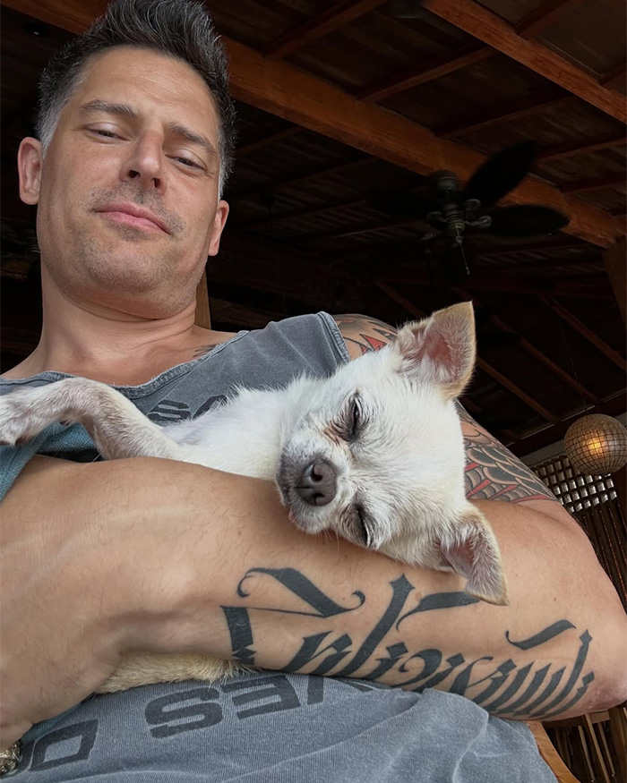 Joe Manganiello holding a small white dog closely while looking at the camera Joe Manganiello holding a small white dog closely while looking at the camera