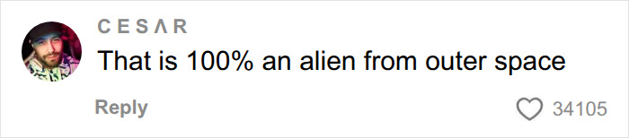 Social media comment calling someone an alien from outer space Social media comment calling someone an alien from outer space