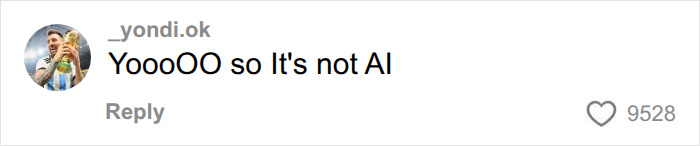 Comment questioning if something is AI Comment questioning if something is AI