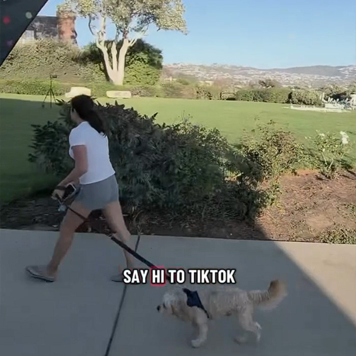 A woman walking her dog, linked to the Laguna Beach Karen incident A woman walking her dog, linked to the Laguna Beach Karen incident