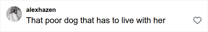 Online user comment expressing sympathy for the dog in the Laguna Beach proposal incident