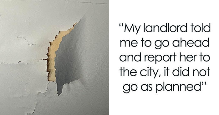 Landlord Dares Tenant To Report Her To The City, Unaware It Will Be Her Biggest Mistake
