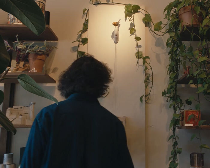 Person with curly hair in indoor garden shop surrounded by plants