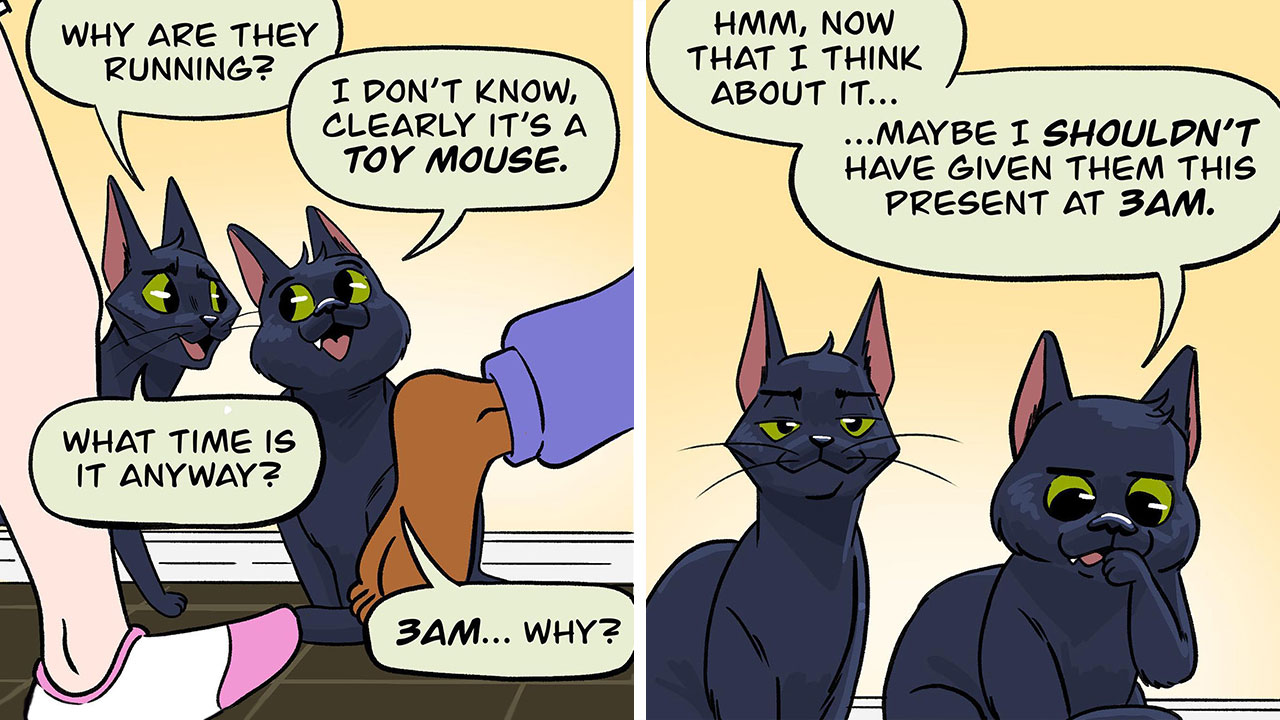 This Artist Created 22 Funny Comics About Life With His Girlfriend And Two Black Cats