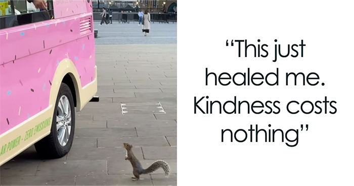 London Ice Cream Van Owner Forms Unlikely Friendship With Local Tower Bridge Squirrel