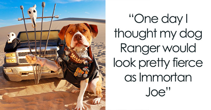 Meet Ranger, The Rescue Dog Who Cosplayed Immortan Joe For “Mad Max: Furry Road”