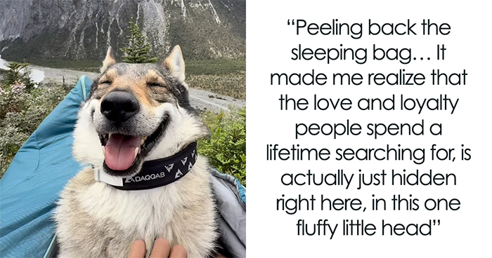 The Wild Adventures Of Zheng And His Wolf Dog Fres Are Winning Hearts Online