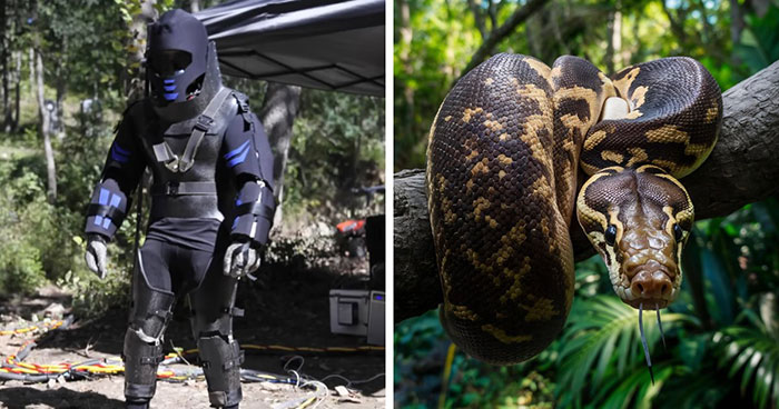Guy Who Allowed A Snake To Eat Him Reveals The Worst Pain In His Life Was Something Else Entirely