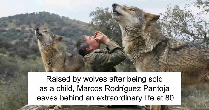 The Story Of Marcos Rodríguez Pantoja, The Boy Raised By Wolves, Has Ended At 80