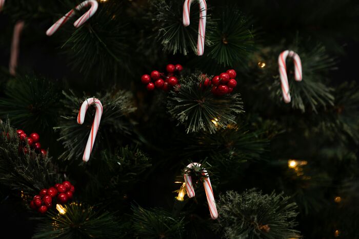 Candy canes on a Christmas tree, symbolizing holiday memories with narcissistic parents.