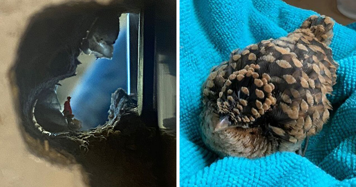 These 101 Photos Might Make You Wonder If Your Eyes Are Playing Tricks On You