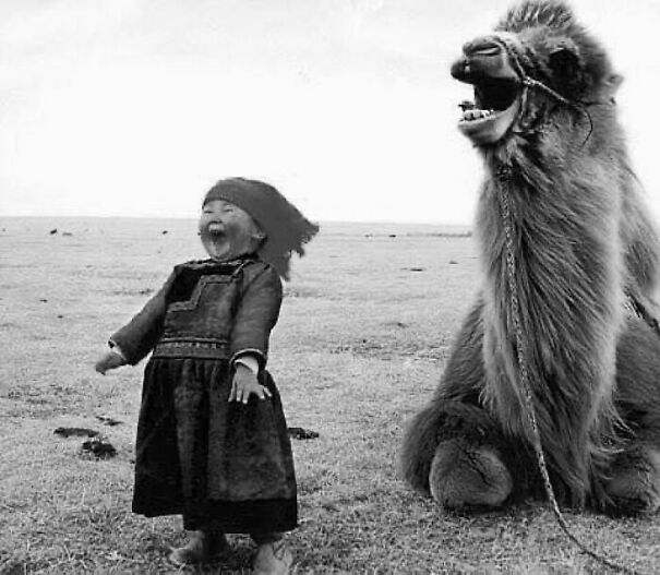 mongolian-girl-with-camel-6abfb2b14692d.jpg