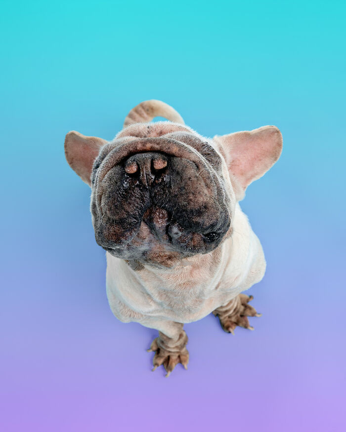 I Photographed Mork’s Calendar For The Third Year In A Row, And These Outtakes Were Too Good Not To Share