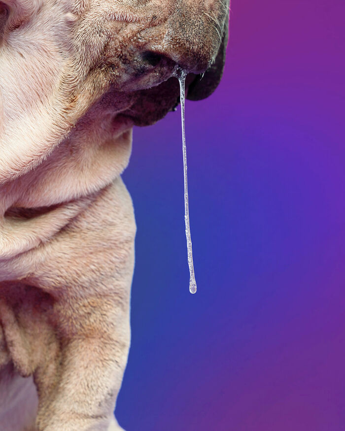 I Photographed Mork’s Calendar For The Third Year In A Row, And These Outtakes Were Too Good Not To Share