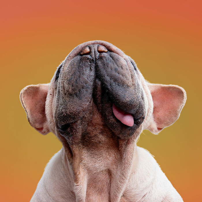I Photographed Mork’s Calendar For The Third Year In A Row, And These Outtakes Were Too Good Not To Share