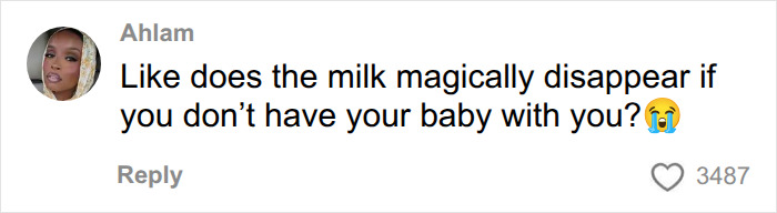 A comment questioning airport employee logic regarding a Delta passenger breast pump situation. A comment questioning airport employee logic regarding a Delta passenger breast pump situation.