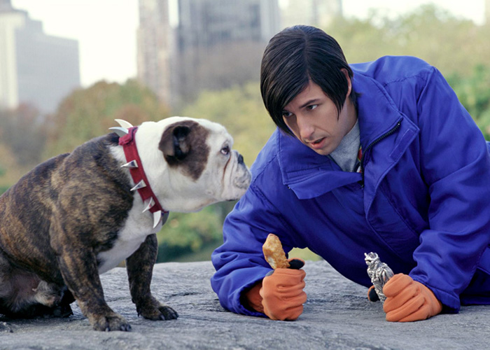 Adam Sandler kneeling on the ground talking to a bulldog
