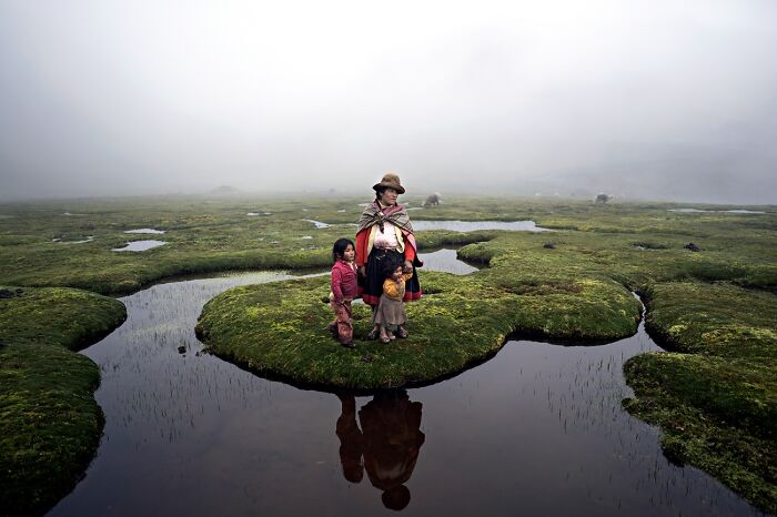 Mother and children standing on mossy island in foggy wetlands best pics 2026