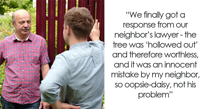 Entitled Neighbor Cuts Down Healthy 89-Year-Old Oak Without Asking, Demands To Split The $2,000 Cost