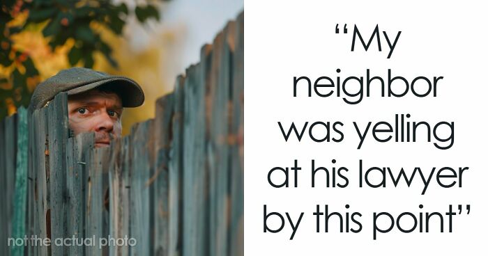 Entitled Neighbor Cuts Down Healthy 89-Year-Old Oak Without Asking, Demands To Split The $2,000 Cost