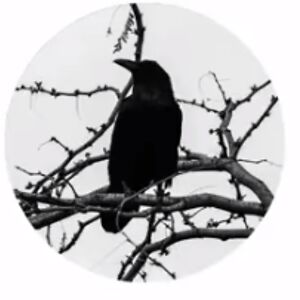 djkeighran avatar