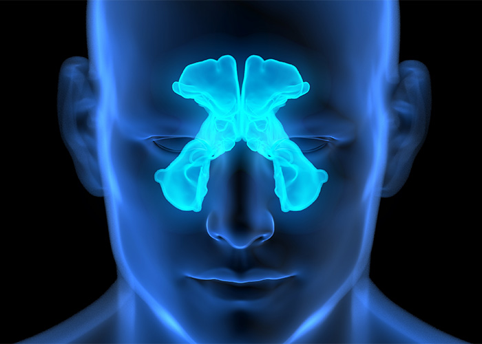 “Is Picking Your Nose Actually Bad For You? Human Anatomy Reveals A Surprisingly Nuanced Answer “Is Picking Your Nose Actually Bad For You? Human Anatomy Reveals A Surprisingly Nuanced Answer