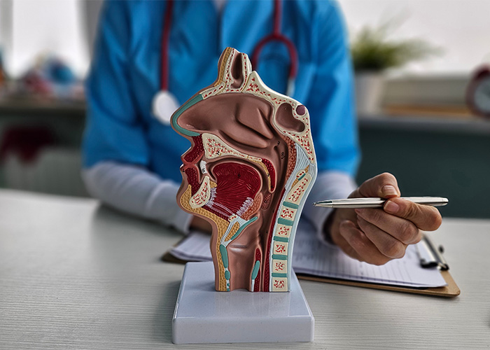 “Is Picking Your Nose Actually Bad For You? Human Anatomy Reveals A Surprisingly Nuanced Answer “Is Picking Your Nose Actually Bad For You? Human Anatomy Reveals A Surprisingly Nuanced Answer