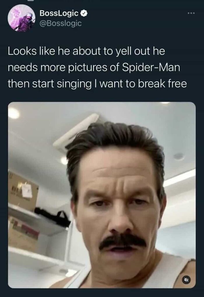 A man with a prominent mustache looking directly into the camera, resembling Freddie Mercury and J. Jonah Jameson