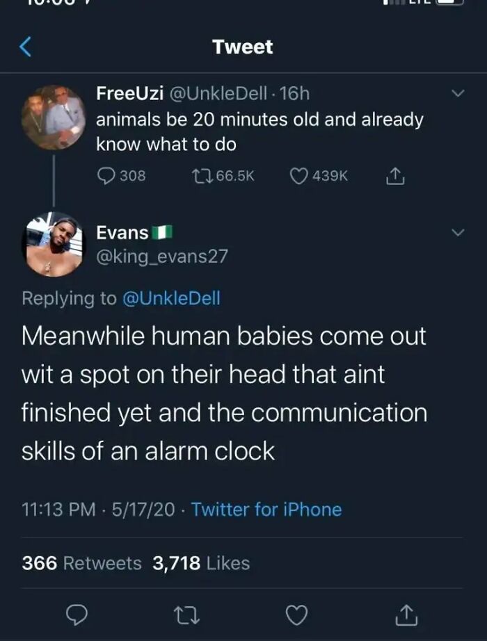 A Twitter exchange featuring funny insults comparing human baby skills to newborn animals.