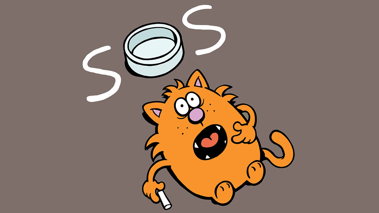 “Learn To Speak Cat”: 30 New One-Panel Comics Depicting The Daily Life Of A Cat