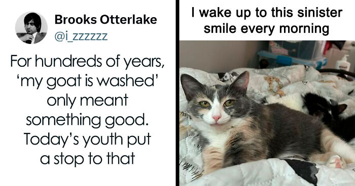 63 Memes That Need Absolutely Zero Context To Be Funny