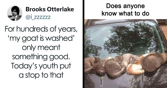 63 Memes That Need Absolutely Zero Context To Be Funny