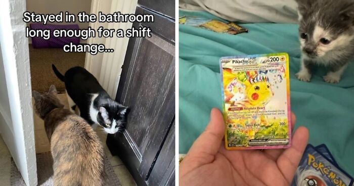 63 Memes That Need Absolutely Zero Context To Be Funny