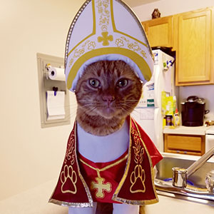 38 Pet Halloween Fits So Funny It Almost Makes Up For How Much Your Dog Is Going To Judge You For This