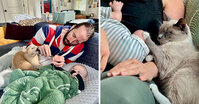 45 Adorable Pics Of Pets Helping Raise Newborns, Shared In This Threads Discussion