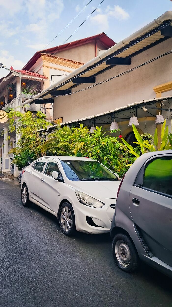 Cars parked closely on street reflecting neighborhood with Karen stories
